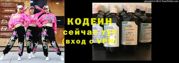 шишки Новозыбков