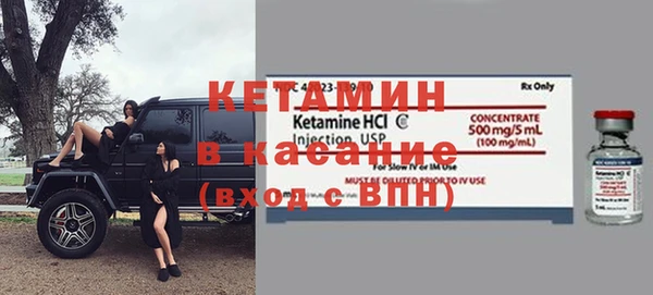 шишки Новозыбков