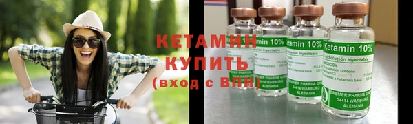 шишки Новозыбков