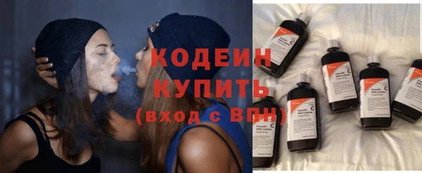 шишки Новозыбков