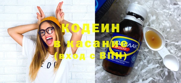 шишки Новозыбков
