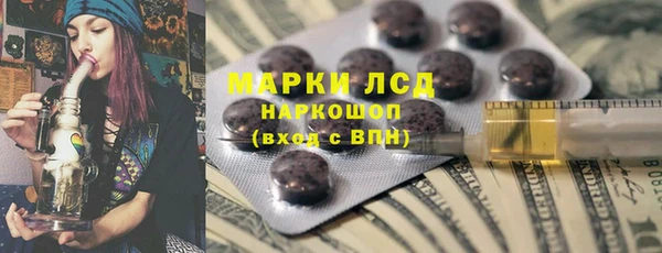 стаф Нея