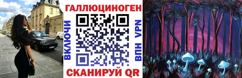 Купить где  Камешково  Псилоцибиновые грибы Cubensis 